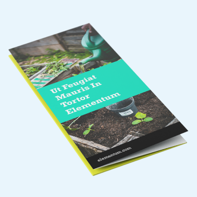 Next Day Economy Leaflets