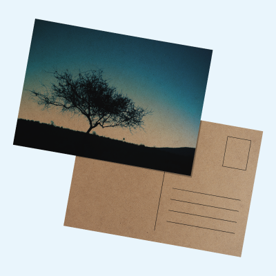 Recycled Postcards