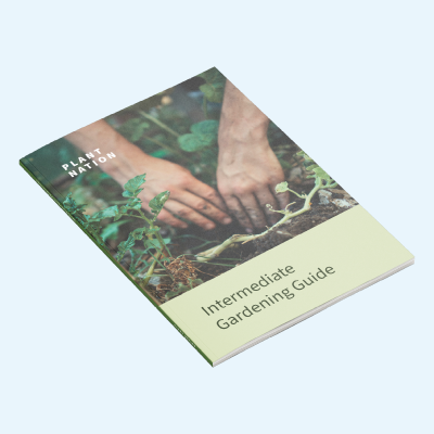 Digital Adhesive Bound Booklets