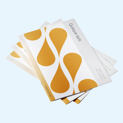 Offset Economy Booklets